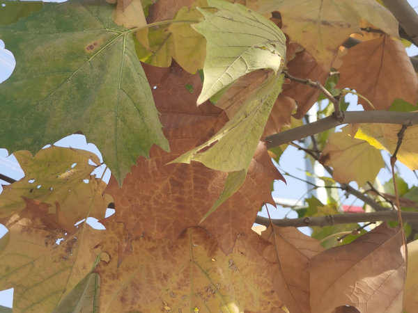 “大数据”之于社会现代管理的巨大推动