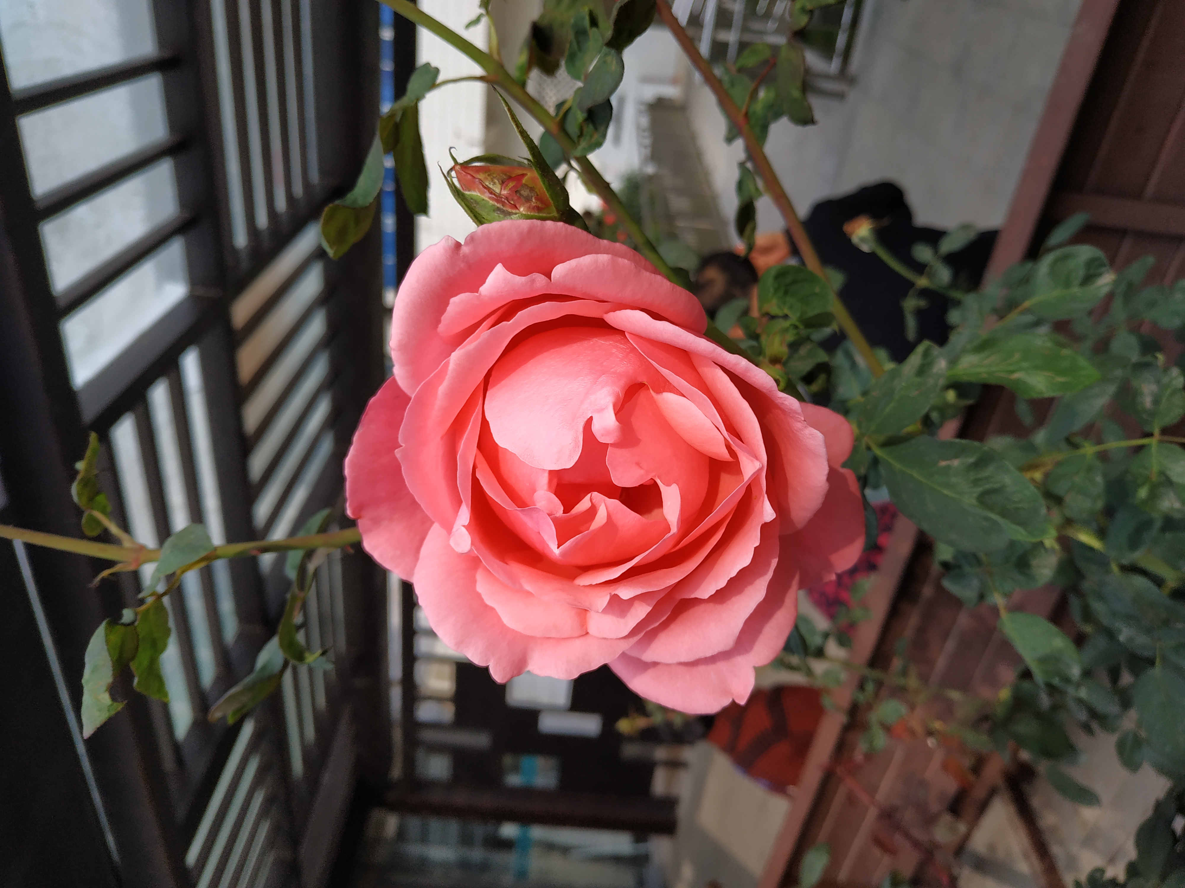 新乡劳务资质股权转让建筑劳务施工带安许