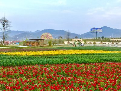 商丘水利三级资质转让河南房建三级市政三级起重一级劳务资质转让