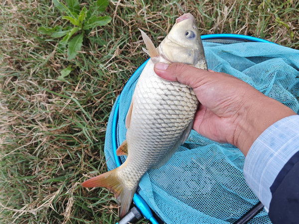 春天钓鱼是钓浅还是钓深？