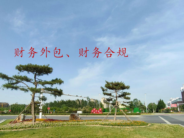 开封财务合规化,开封税务合规化,开封内外账合一