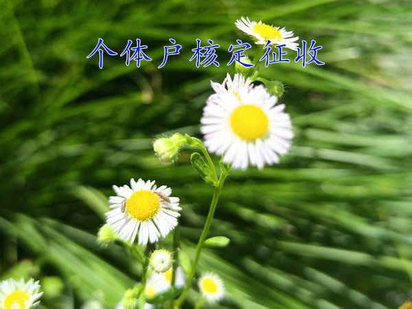 开封建筑行业在税收优惠园区成立核定征收的个体工商户